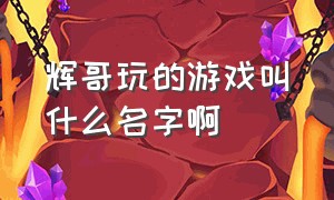 辉哥玩的游戏叫什么名字啊