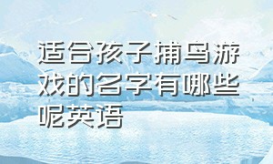 适合孩子捕鸟游戏的名字有哪些呢英语