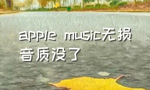 apple music无损音质没了