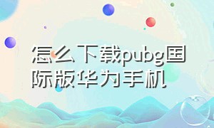 怎么下载pubg国际版华为手机