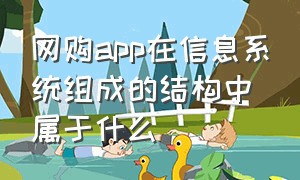 网购app在信息系统组成的结构中属于什么