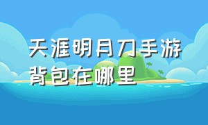 天涯明月刀手游背包在哪里