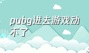 pubg进去游戏动不了