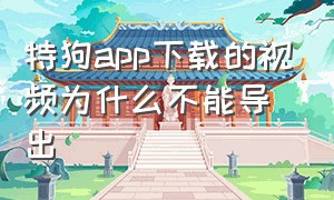 特狗app下载的视频为什么不能导出