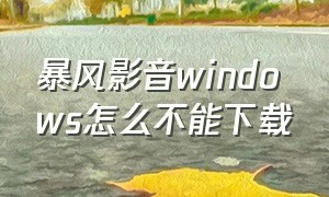 暴风影音windows怎么不能下载