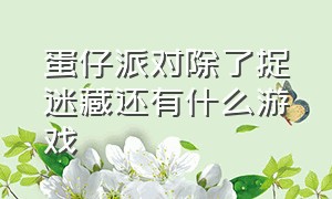 蛋仔派对除了捉迷藏还有什么游戏