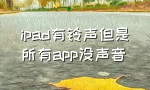 ipad有铃声但是所有app没声音