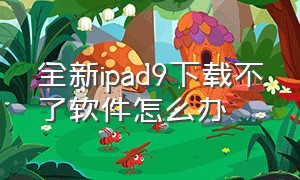 全新ipad9下载不了软件怎么办