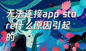 无法连接app store什么原因引起的