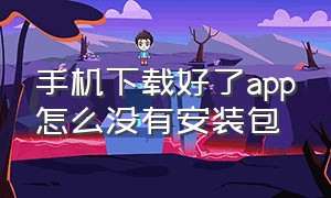 手机下载好了app怎么没有安装包