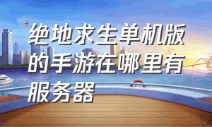 绝地求生单机版的手游在哪里有服务器