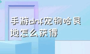 手游dnf宠物哈艮地怎么获得