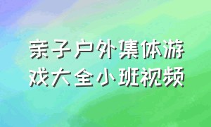 亲子户外集体游戏大全小班视频