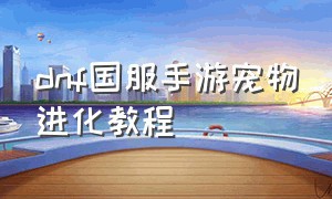 dnf国服手游宠物进化教程