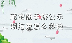 藏宝阁手游公示期结束怎么秒抢