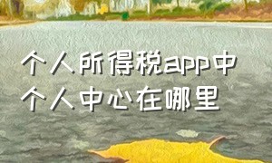 个人所得税app中个人中心在哪里