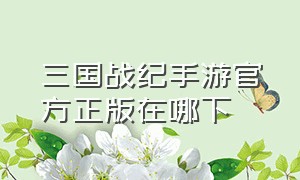 三国战纪手游官方正版在哪下