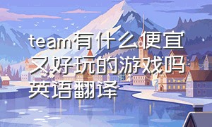 team有什么便宜又好玩的游戏吗英语翻译