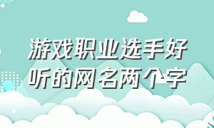 游戏职业选手好听的网名两个字