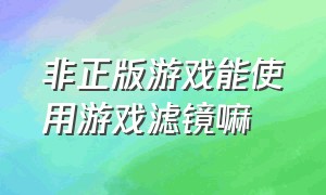 非正版游戏能使用游戏滤镜嘛