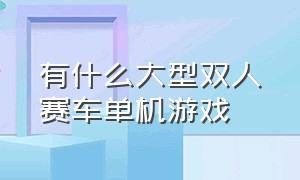 有什么大型双人赛车单机游戏