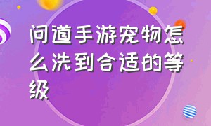 问道手游宠物怎么洗到合适的等级