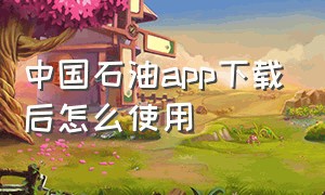 中国石油app下载后怎么使用