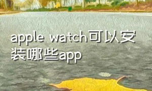 apple watch可以安装哪些app