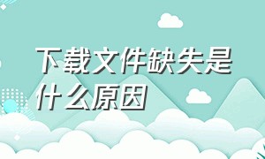 下载文件缺失是什么原因