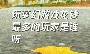 玩梦幻游戏花钱最多的玩家是谁呀