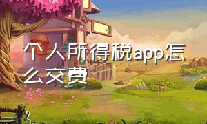 个人所得税app怎么交费