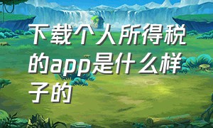 下载个人所得税的app是什么样子的