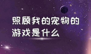 照顾我的宠物的游戏是什么