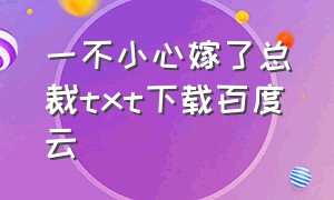 一不小心嫁了总裁txt下载百度云