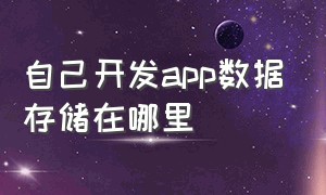 自己开发app数据存储在哪里