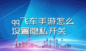 qq飞车手游怎么设置隐私开关