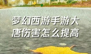 梦幻西游手游大唐伤害怎么提高