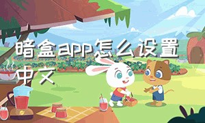 暗盒app怎么设置中文