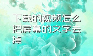 下载的视频怎么把屏幕的文字去掉