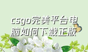 csgo完美平台电脑如何下载正版