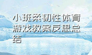 小班柔韧性体育游戏教案反思总结