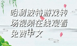 哈利波特游戏转场视频在线观看免费中文
