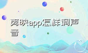 剪映app怎样调声音