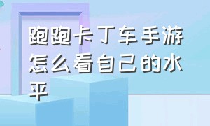 跑跑卡丁车手游怎么看自己的水平