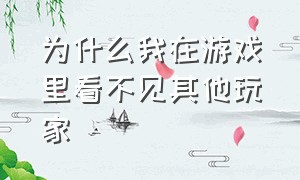 为什么我在游戏里看不见其他玩家