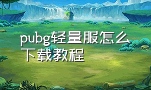 pubg轻量服怎么下载教程