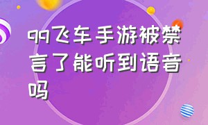 qq飞车手游被禁言了能听到语音吗