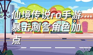 仙境传说ro手游暴击刺客角色加点