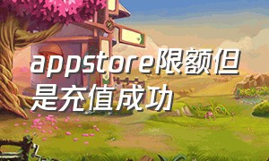 appstore限额但是充值成功