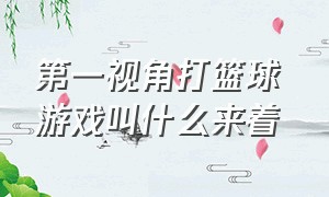 第一视角打篮球 游戏叫什么来着